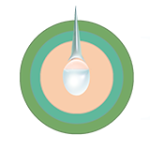 oryxe logo